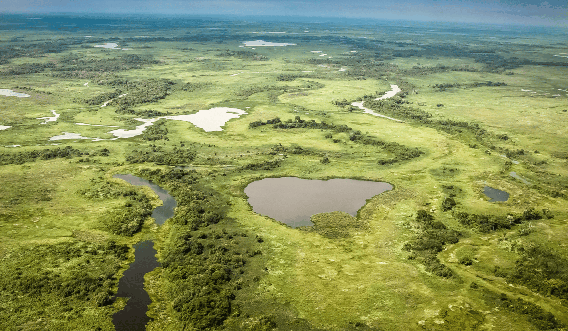 CSR biodiversity –  Pantanal wetland