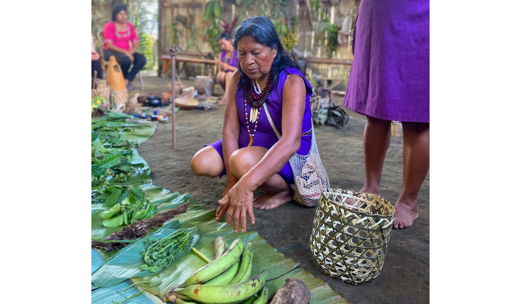 VSF biodiversity, Amupakin Midwives