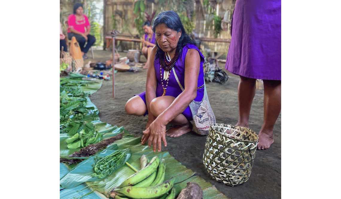 VSF biodiversity, Amupakin Midwives