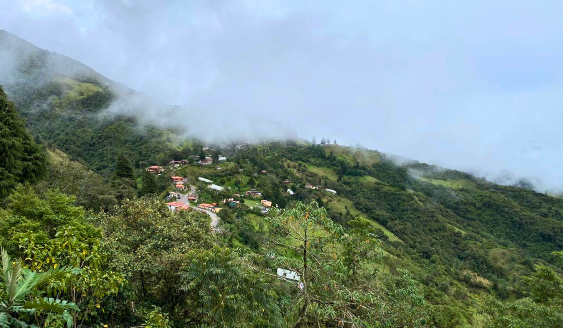 VSF biodiversity, Yunguilla Ecuador