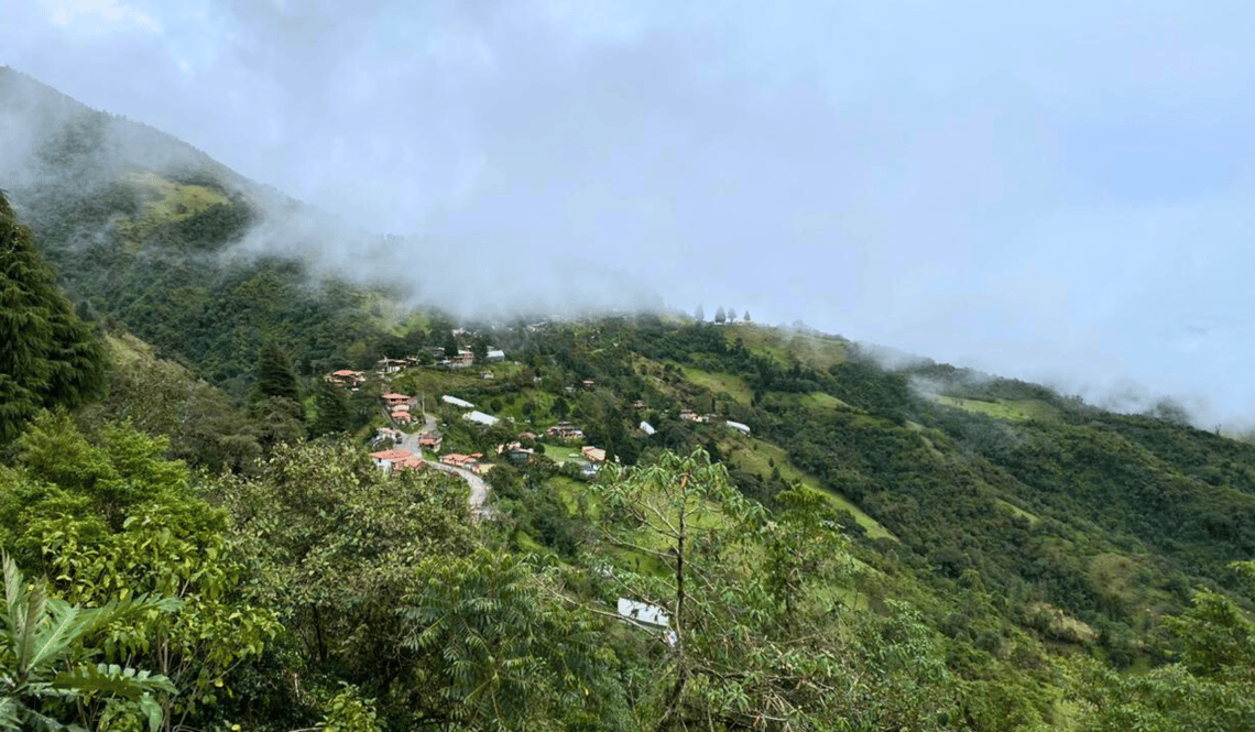 VSF biodiversity, Yunguilla Ecuador