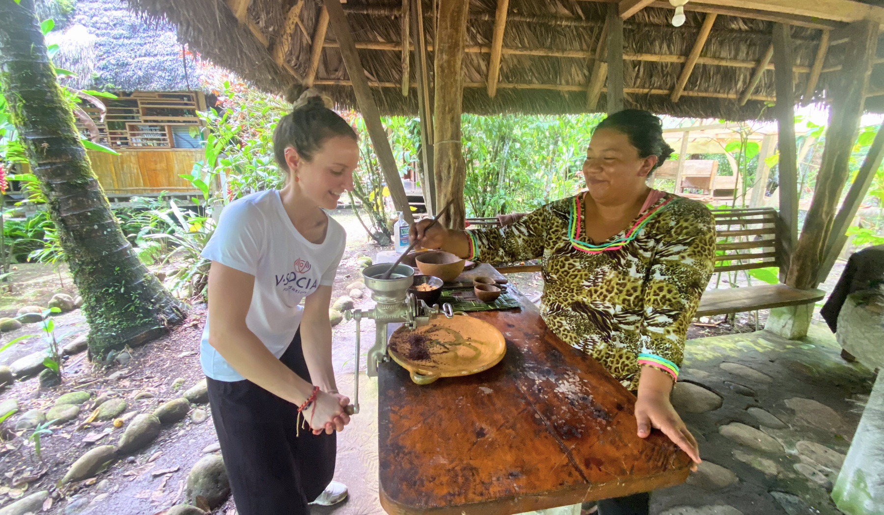 VSF biodiversity, cacao production