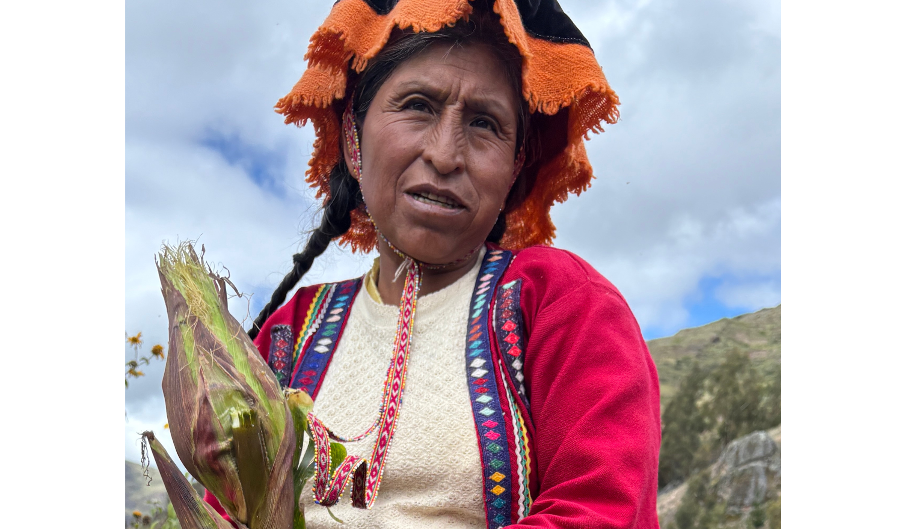 VSF biodiversity, guardianas de las semillas