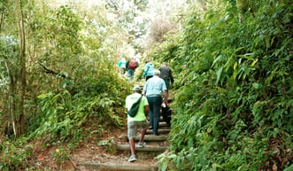 Visit CoopBabilonia: reforestation of favela, Rio de Janeiro