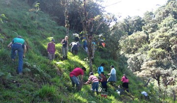 Planting trees with V Social 2009 in Gujalito, Ecuador
